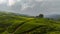 Tropical landscape with tea estate. Kayu Aro, Sumatra, Indonesia.