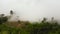 Tropical landscape with Tea estate among the mountains.