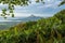 Tropical landscape with trees and palms. Beautiful mountain and blue sky.