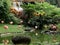 Tropical Landscaping Garden Pond With Flamingos