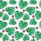 tropical leaf monstera and ladybugs. seamless pattern