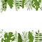 Tropical leaf square frame closeup banner vector