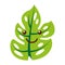 Tropical leaf summer kawaii character