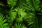 Tropical leaf texture, foliage nature green background