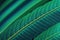 Tropical leaf texture, large palm foliage nature dark green and blue background, generative ai