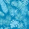 Tropical leafs background. hand drawn palm leaves on blue background.