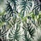 Tropical leaves background. Monstera leaf texture