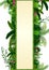 Tropical leaves background. Rectangle plants frame bamboo with space for text. Tropical foliage with vertical banner