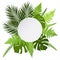Tropical leaves background with white round banner. Palm,ferns,monsteras.