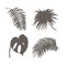 Tropical leaves collection. Palm leaves. Graphic illustration.