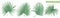 Tropical leaves collection. Set of palm leaves in realistic style with high details.