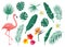 Tropical leaves, flowers vector illustration set. Cartoon flat element with monstera, hibiscus, frangipani, flamingo