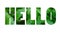 Tropical leaves font Alphabet hello made of Real alive leaves  with paper cut shape of lette.Collection of flora font