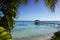 Tropical leaves frame an image of a dock leading out into turquoise waters