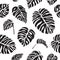 Tropical leaves monstera black and white seamless pattern.