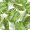 Tropical leaves pattern