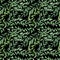 Tropical leaves pattern. Green leaf monstera seamless. Artistic collage for floral print