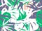 Tropical leaves pattern. Seamless texture with monstera foliage and palm leaf. Design element, print, banner for summer sale.