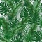 Tropical leaves seamless pattern. Jungle green background.