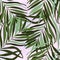 Tropical leaves. Seamless vector pattern, Stylish modern trending background