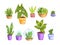 Tropical leaves, succulents, cactuses in florariums and pots.