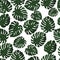 Tropical leaves. Vector. Seamless pattern in swatch. Monstera wallpaper. Exotic texture with greenery hawaiian leaf