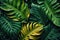 Tropical leaves vivid vibrant color background