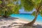 Tropical lonely beach at Maldives with blue sky, palm trees and turquoise water