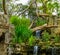 Tropical looking waterfall with many plants, exotic garden architecture