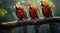 Tropical macaws sitting on a tree branch in the rainforest