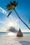 Tropical maldives beach with palm and swing