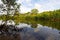 Tropical mangrove swamp with reflection