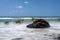 Tropical mangroves at a beach