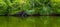 Tropical mangroves, lake and blue sky. Wide format