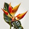 Tropical Marvel: The Striking Heliconia Flower