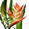 Tropical Marvel: The Striking Heliconia Flower