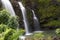 Tropical Maui Waterfall