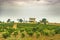 Tropical Meadow Scene at Guayaquil Outskirts, Ecuador