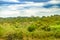 Tropical Meadow Scene at Guayaquil Outskirts, Ecuador