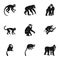 Tropical monkey icon set, simple style