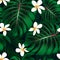 Tropical Monstera floral seamless pattern