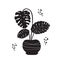 Tropical monstera plant. Gardening of territories. Home gardening. Home plant in a flower pot silhouette