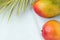 Tropical Nature Background Ripe Juicy Red Mango Spiky Green Yellowish Palm Leaf Scorched by the Sun. Healthy Food Lifestyle