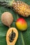 Tropical Nature Background Ripe Mango Papaya Coconut Pineapple on Large Green Palm Leaf. Healthy Food Lifestyle Vitamins