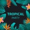 Tropical night party background