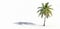 In a tropical oasis, a solitary coconut palm tree stretches its branches. Copy space