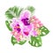 Tropical Orchids Cymbidium pink and Phalaenopsis flowers and Monstera and palm on a white background vintage vector illustratio