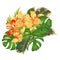 Tropical Orchids flowers Cattleya type hybrid orchid with peach colored petals and philodendron and ficus on white background vint