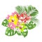 Tropical Orchids red Dendrobium and Cymbidium green and   yellow and pink  flowers and Monstera and palm  on a white background