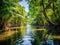 Tropical palm forest on the river Tropical thickets mangrove forest on the island of Sri Lanka